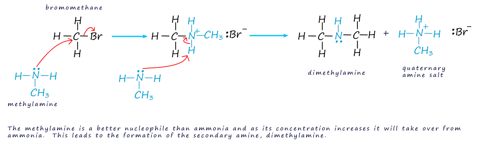 Mechanism for the reaction of a halogenalkane and an amine, nucleophilic substitution.
